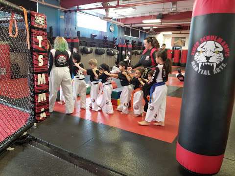 Tiger Schulmann's Martial Arts Tiger Schulmann's Martial Arts